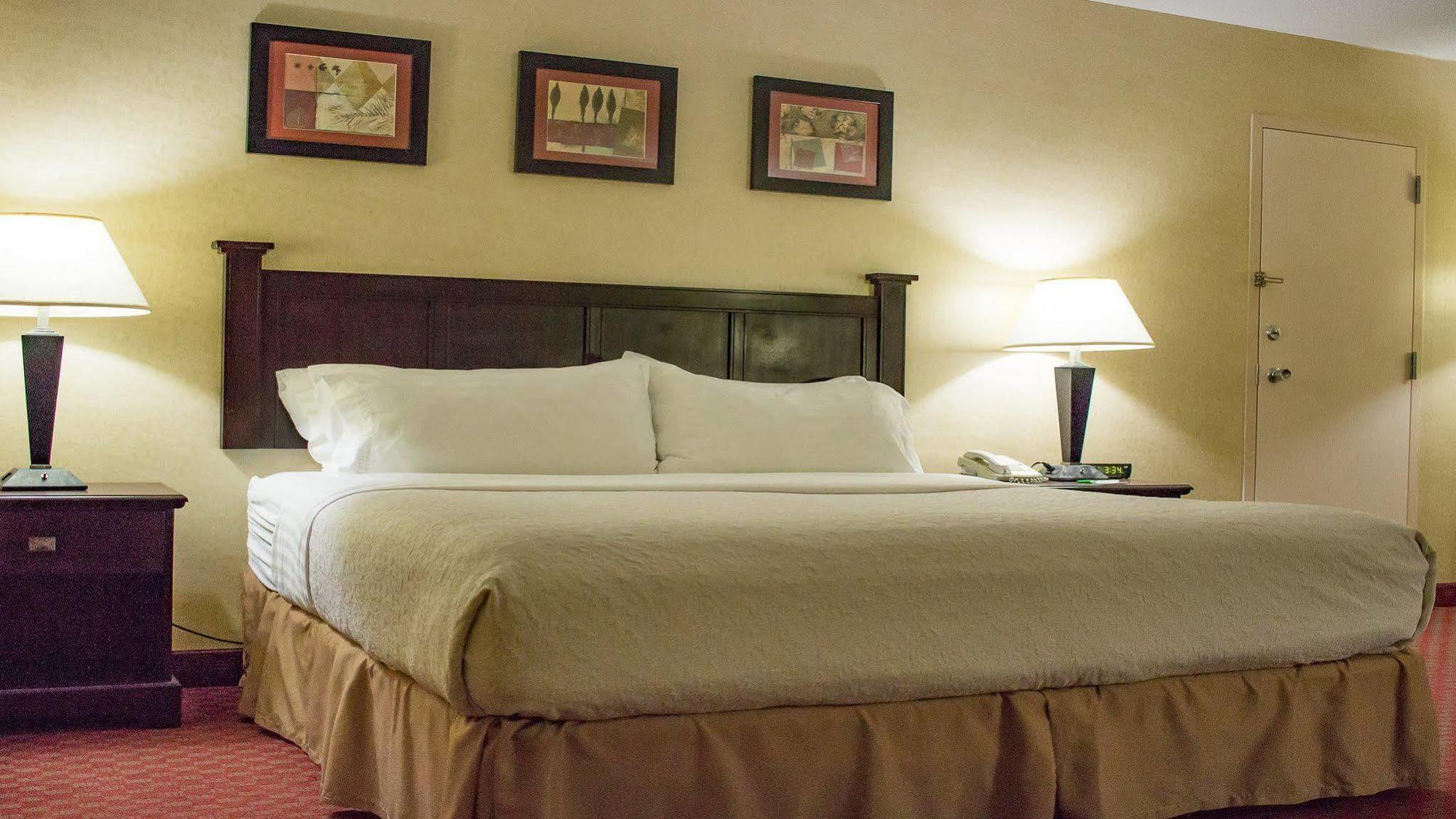 Holiday Inn Roanoke Airport - Conference Ctr By Ihg Экстерьер фото